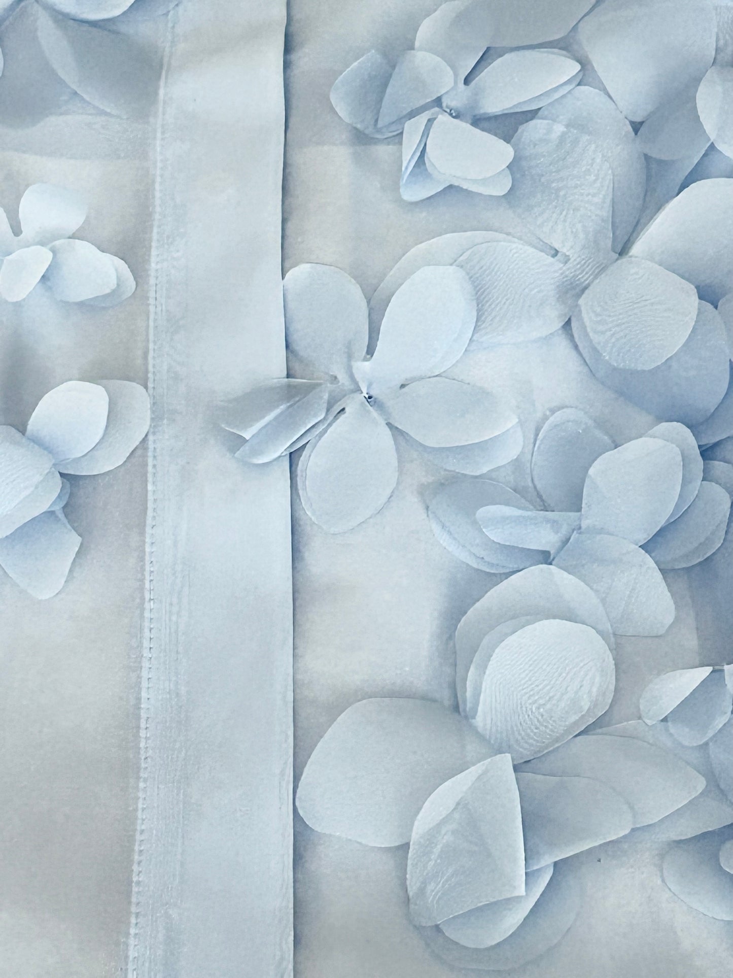 Nenette camicia organza
