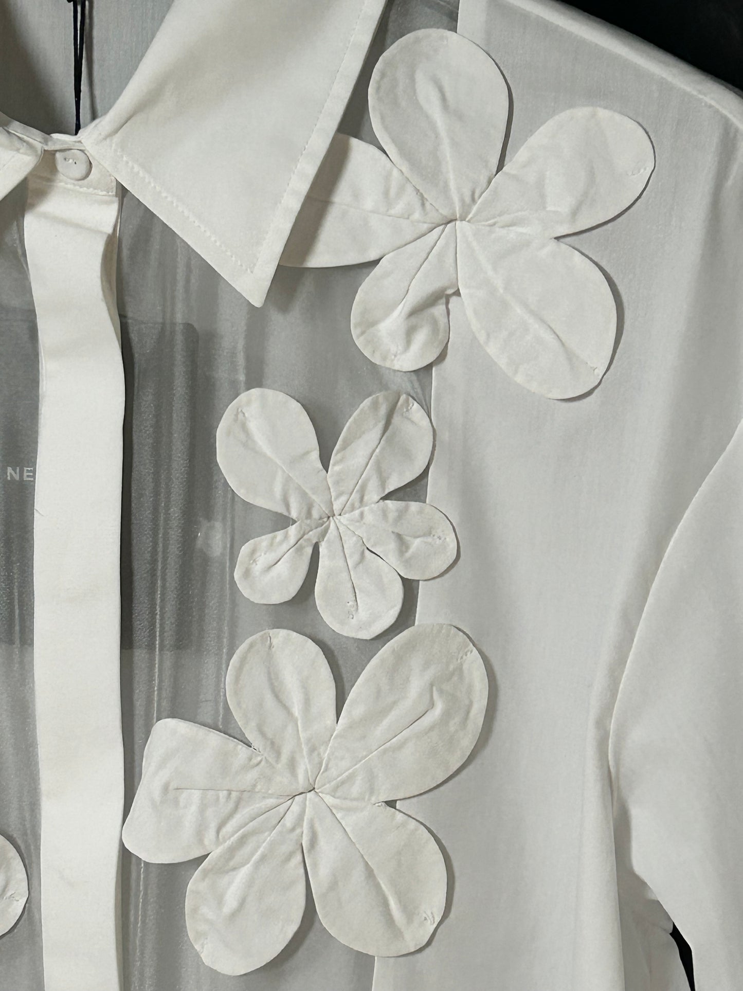 Nenette camicia
