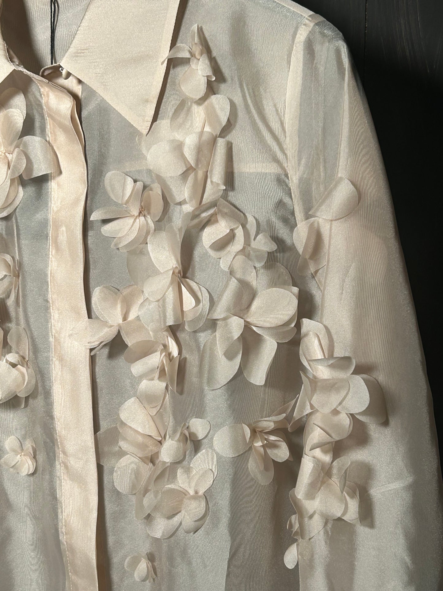 Nenette camicia organza
