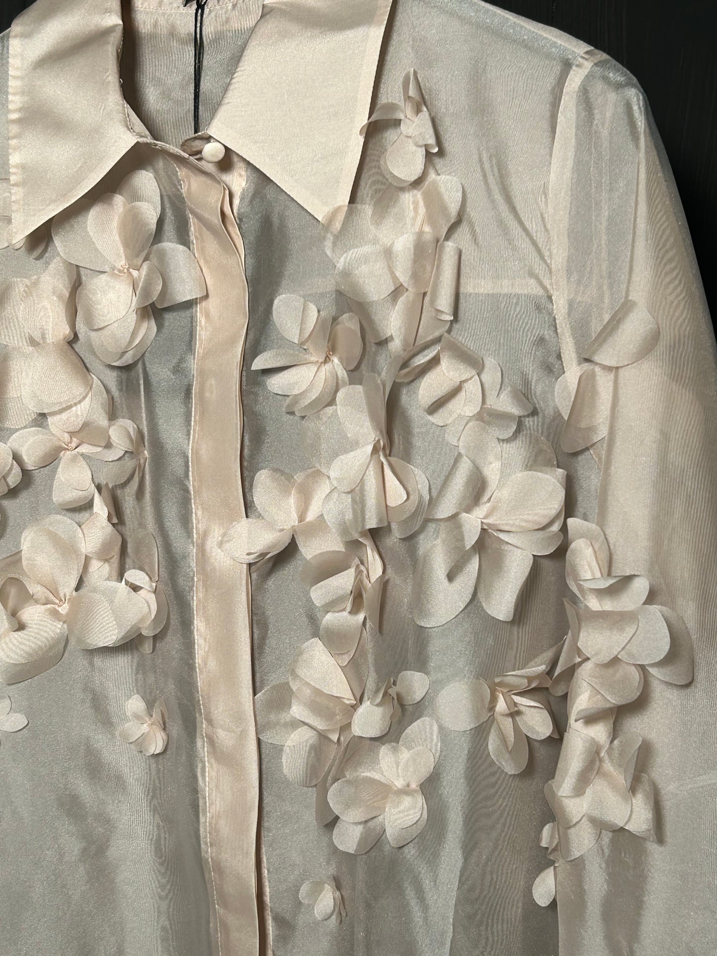 Nenette camicia organza