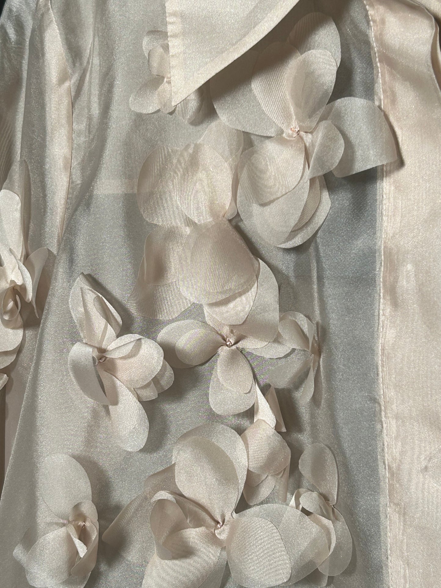 Nenette camicia organza